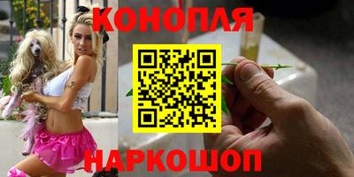 гашик Ипатово